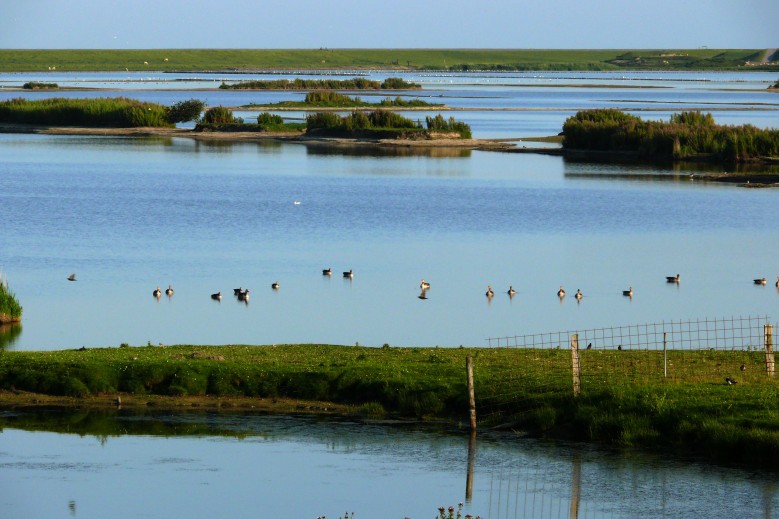 Haus Halligblick, Ferienwohnungen am Wattenmeer, Whg. Oland