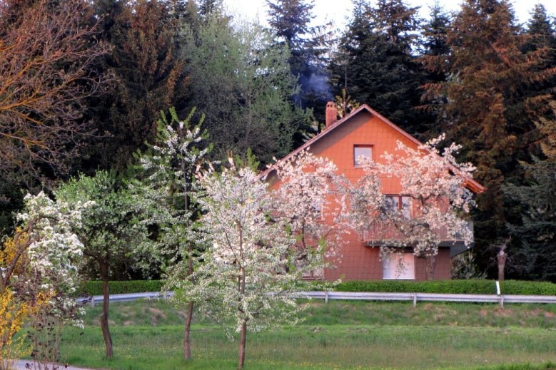 Haus Hollerbusch