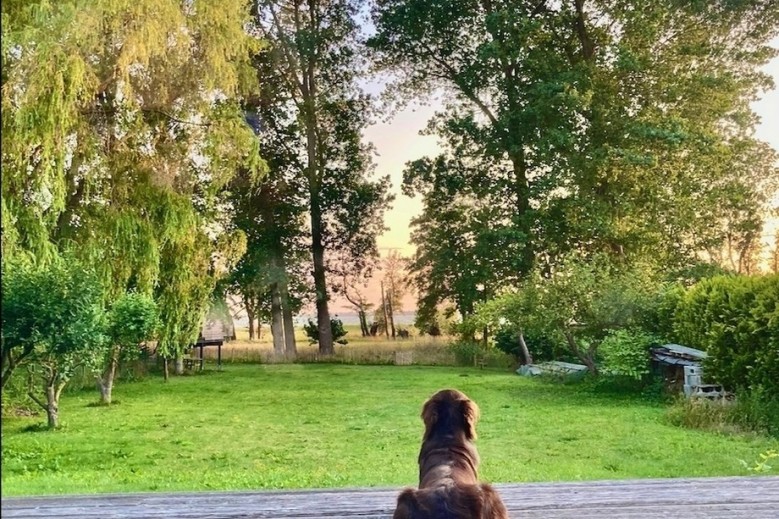 Haus mit Wasserblick