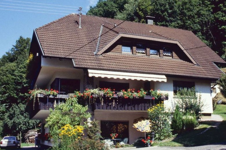 Haus Schindler