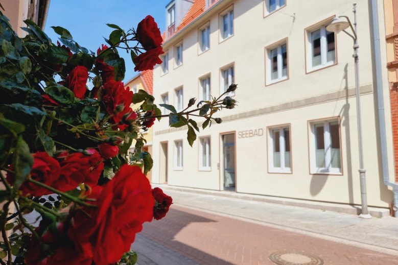 Haus Seebad Ueckermünde Ferienwohnungen