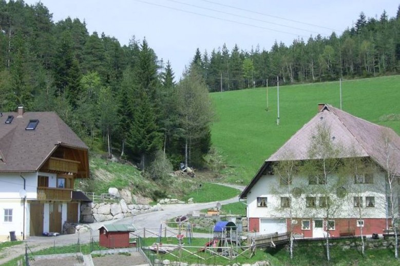 Hinterhauensteinhof