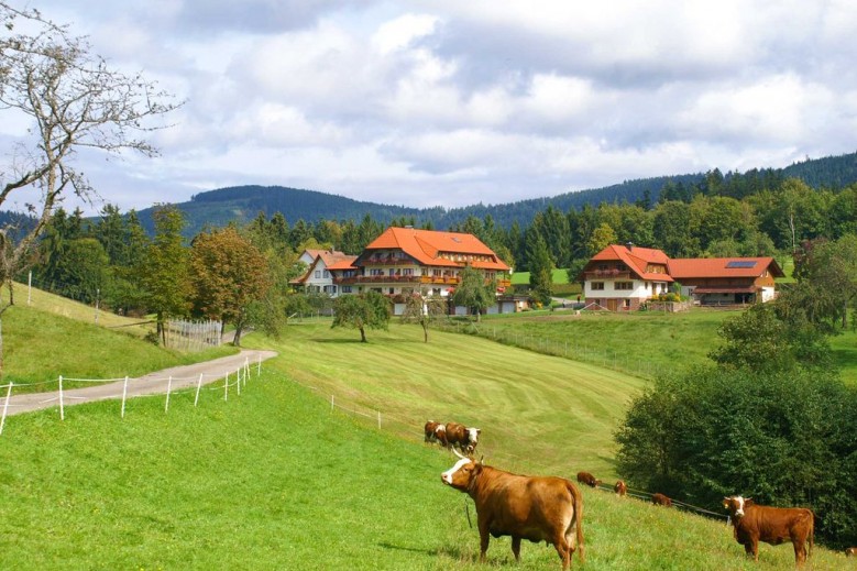 Hotel zum Breitenberg