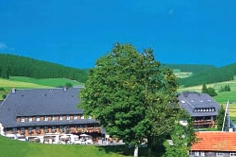 Hotel Zum Löwen - Unteres Wirtshaus