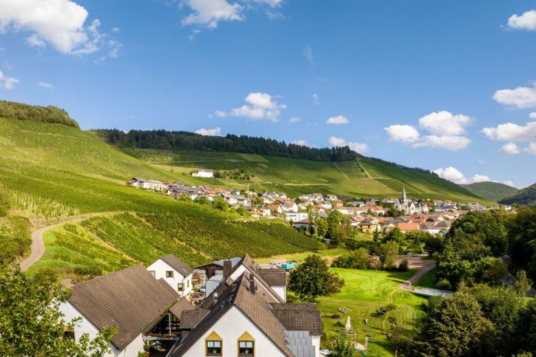 Landidyll Weinhotel Klostermühle