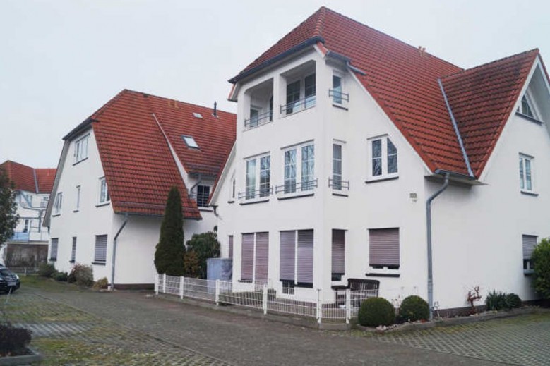 Langer Strandhafer 31