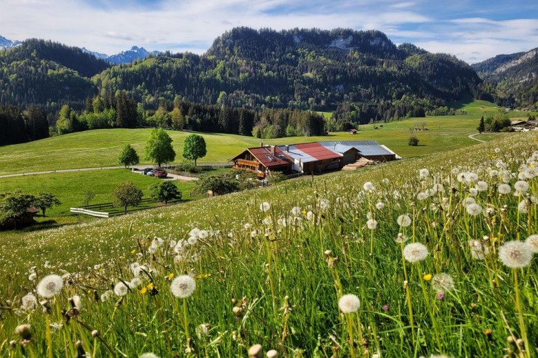 Naturgut Allgäu