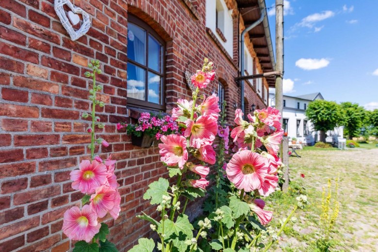 Ostsee Bauernhof Schwalbennest OFC 15