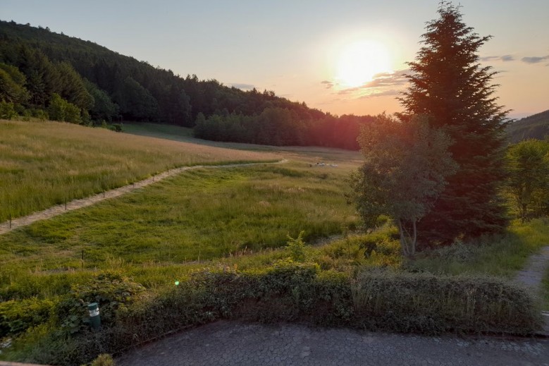 Schwarzwald pur! Mitten in der Natur!