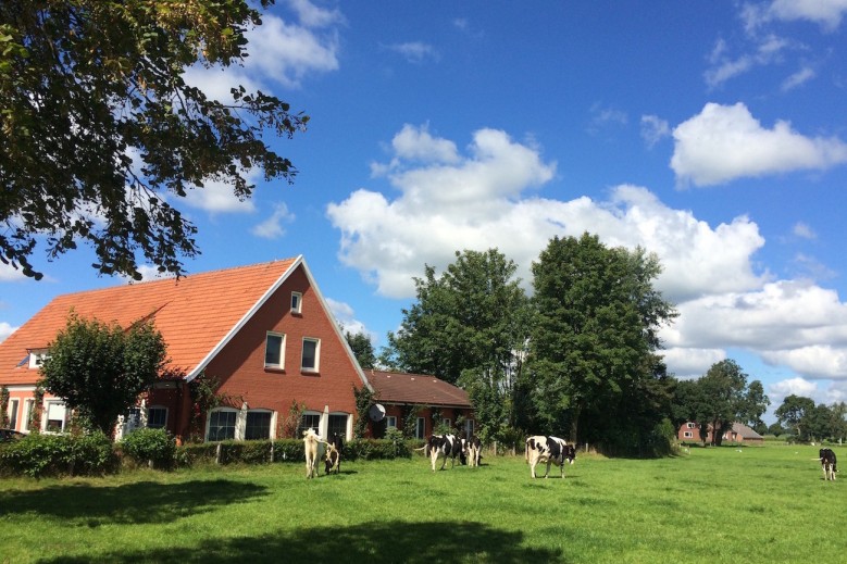 Tolles Ferienhaus für 18 Personen in Ostfriesland mit Kino, Bar, Sauna