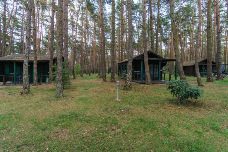 Urlaub im Bungalow - mitten im Wald