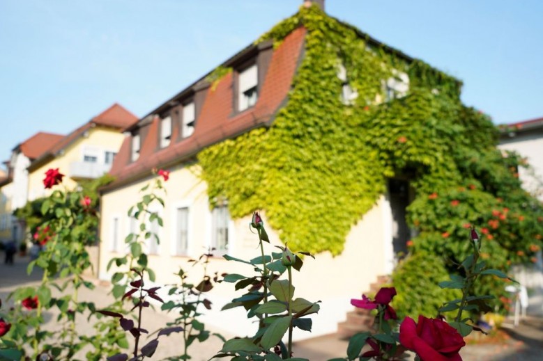 Weingut Martin Blaß