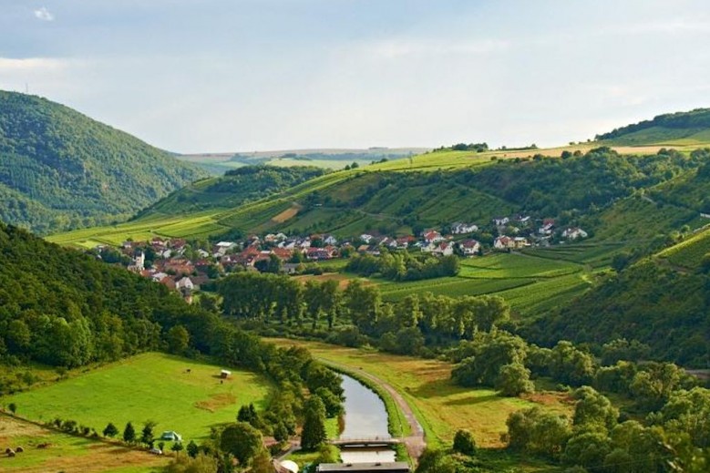 Weingut und Gästehaus Franzmann