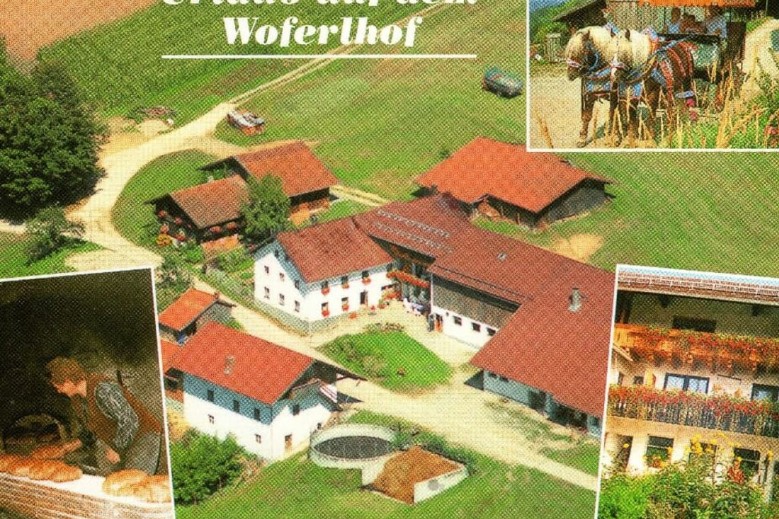 Woferlhof, Ferienhof Boxhorn