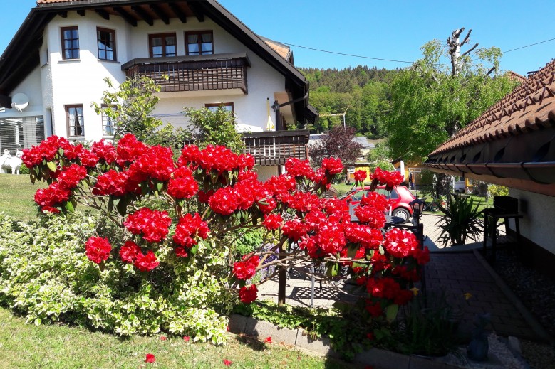 Wunderschöne Ferienwohnung im Haus Schupp mit bester Aussicht