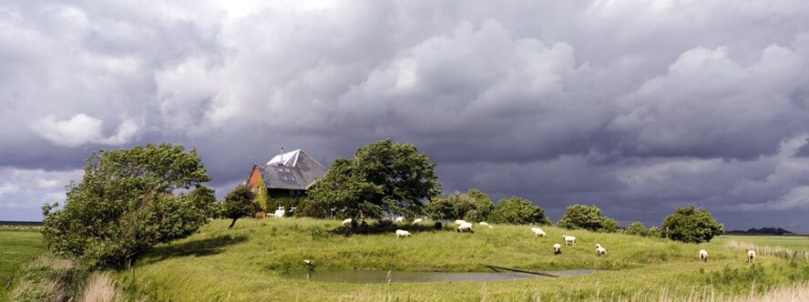 281 Ferienwohnungen & Ferienhäuser in Norden