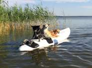 Ostsee - Darßurlaub mit Hund - Wassergrundstück  in Born am Darß Innenansicht